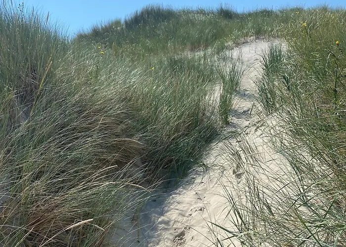 Neu Sielbude Mit Garten Und Wallbox Allergikerfreundlich 度假居 *